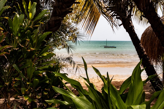 Mozambique safaris