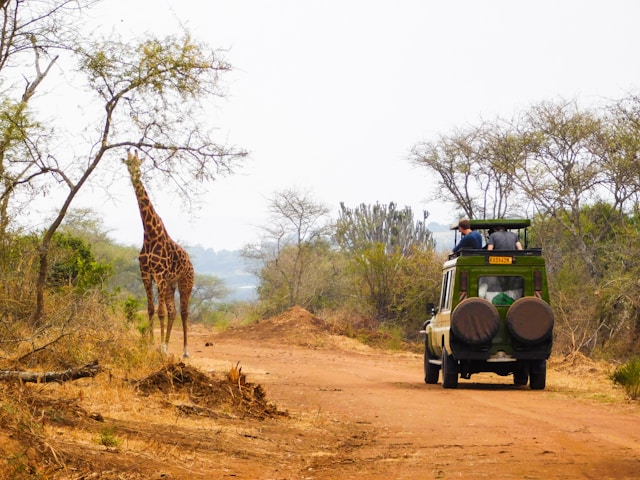 Rwanda safaris