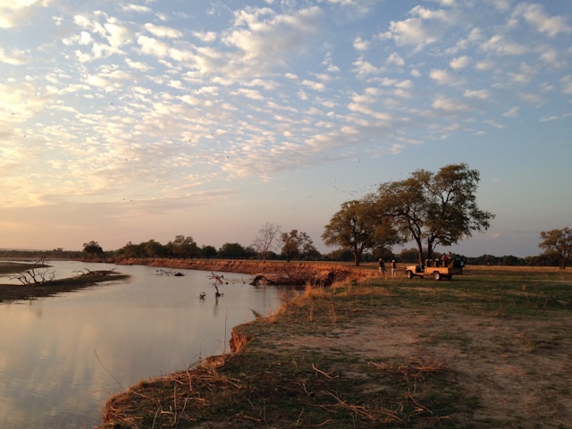 Zambia safaris